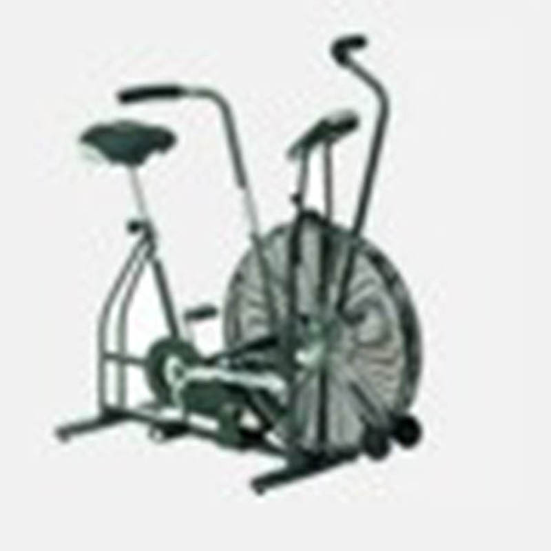 used schwinn airdyne