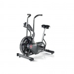 Schwinn Airdyne AD6